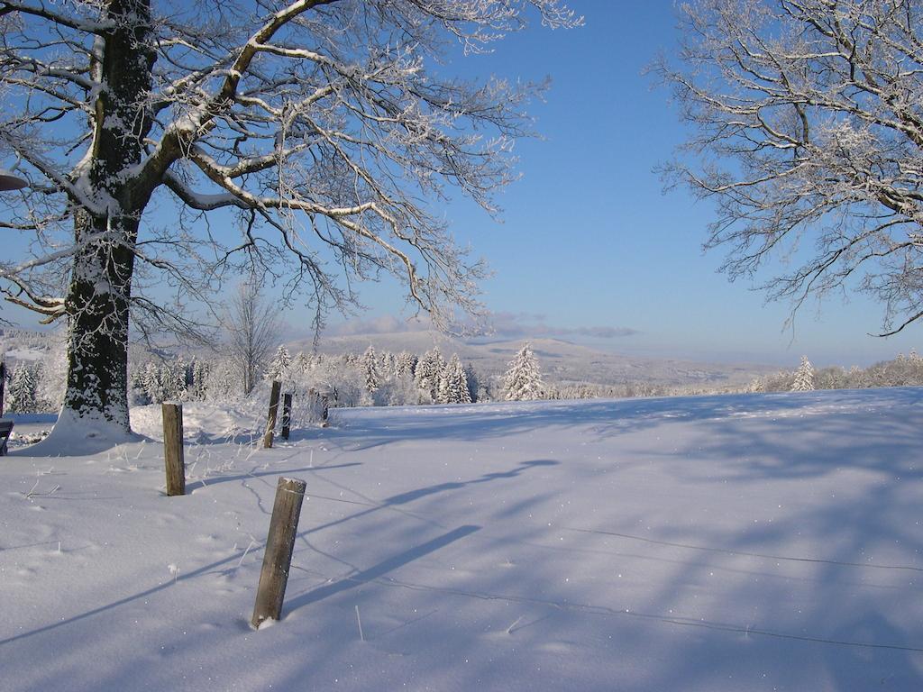 Luxury Apartment In Sumava Mountains Kristanov Exterior foto